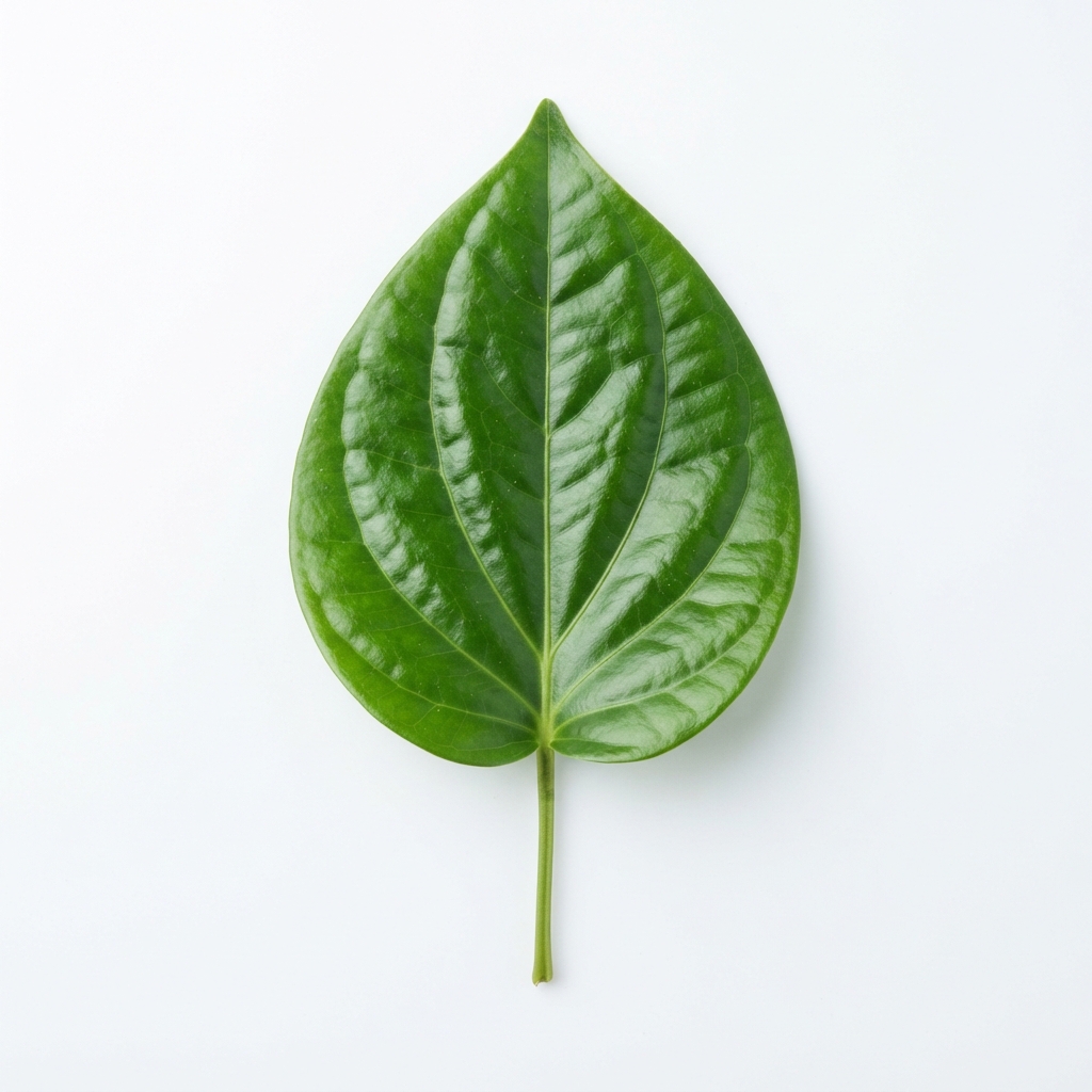 Daun Sirih